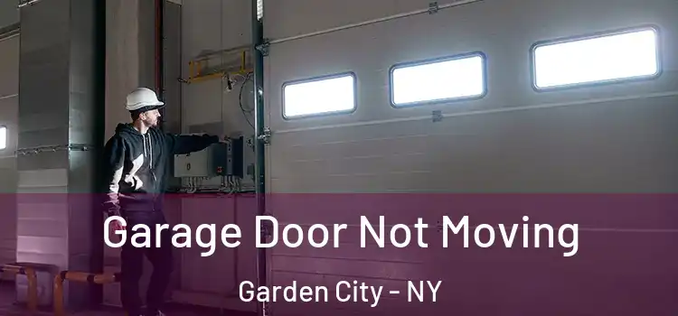  Garage Door Not Moving Garden City - NY